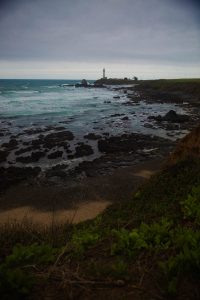 Pigeon Point lighthouse california coastline Los Angeles headshot photographer