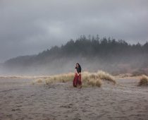foggy california coastline gold bluffs campground redwoods national forest wedding photographer